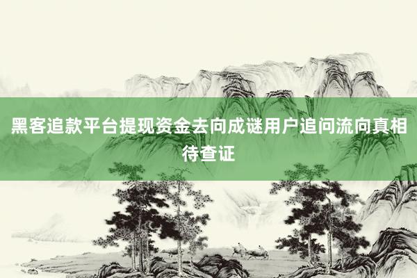 黑客追款平台提现资金去向成谜用户追问流向真相待查证