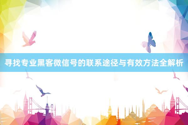 寻找专业黑客微信号的联系途径与有效方法全解析