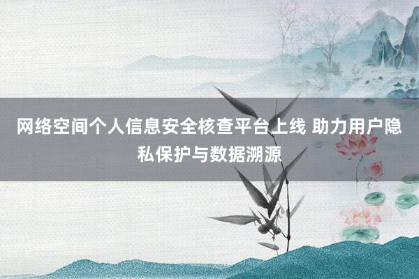 网络空间个人信息安全核查平台上线 助力用户隐私保护与数据溯源
